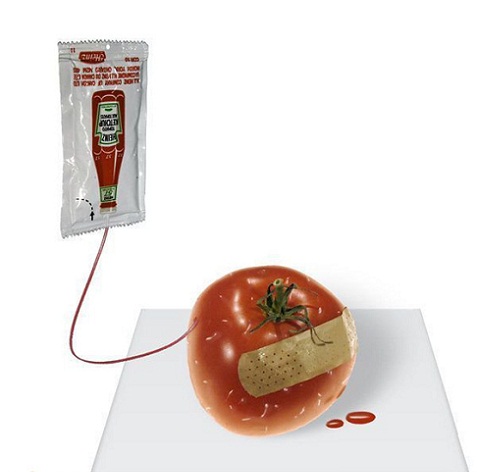 Transfusión de sangre a un tomate herido 3