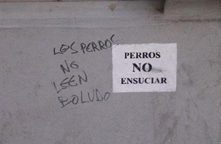 perros_boludos