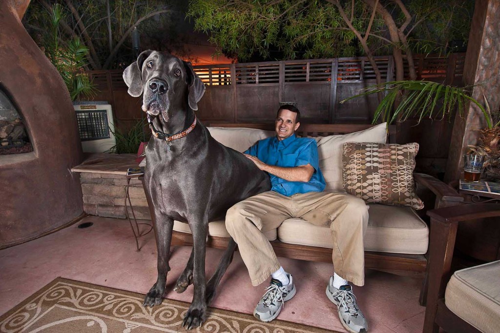 Giant George, 1.09 metros de perro en casa 3