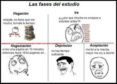 Fases del Estudio 10 fases del estudio