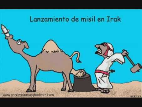 Curiosidades graciosas del mundo 11 curiosidades graciosas