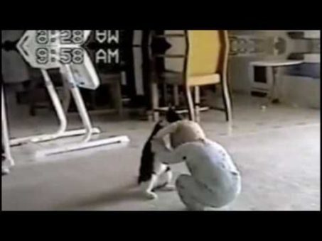 Pelea entre un gato y un bebé 14
