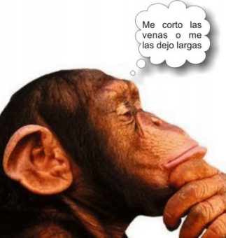 Preguntas para meditar 1