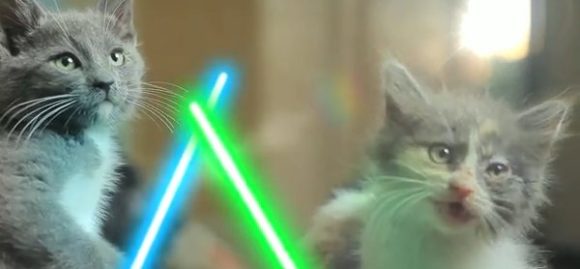 Gatos Jedi, los nuevos personajes de Star Wars 2