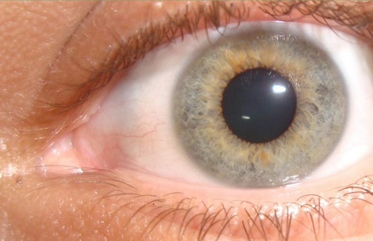 Ocho curiosidades sobre los ojos