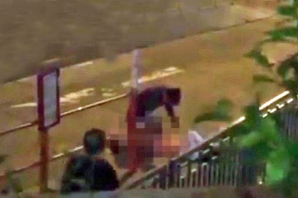 El mundo está loco, el perro que sufría bullying y un video viral de cumpleaños 4 Fuente: Mirror